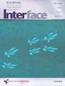 Interface_cover